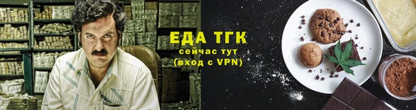 молекула духа Осташков