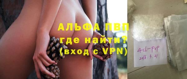 молекула духа Осташков