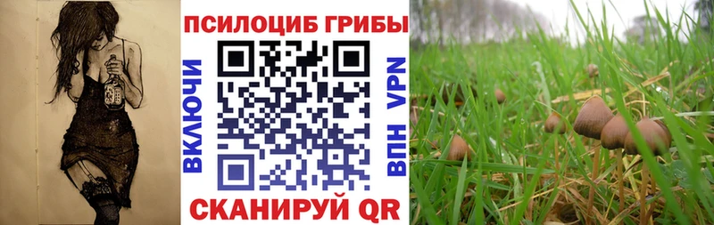 Псилоцибиновые грибы прущие грибы Костомукша